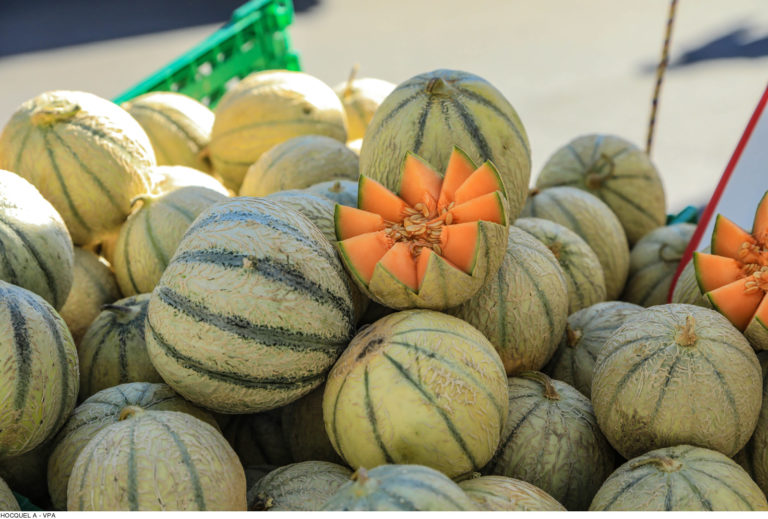 Melons de Cavaillon