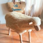 Mouton Detail Interieur 13 Remy