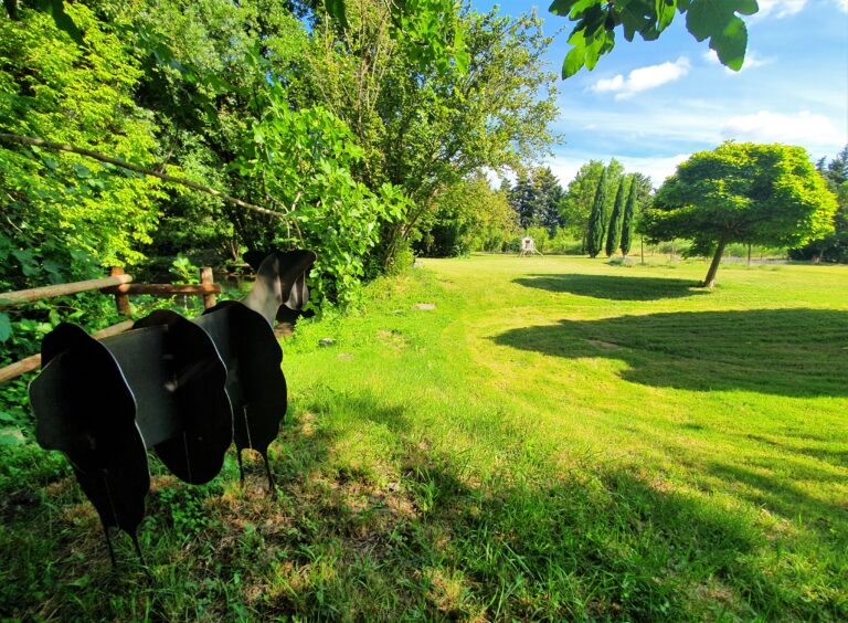 Mouton Fafa des Bois