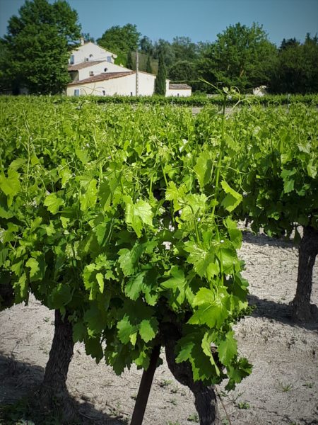 vue à l'arrivée sur Côté Provence